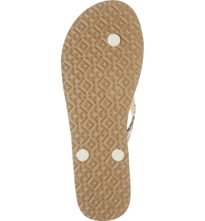 Shop Tory Burch Thin Flip Flop In Ivory Paradise