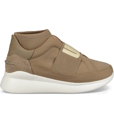 Shop Ugg Neutra Sock Sneaker In Antelope