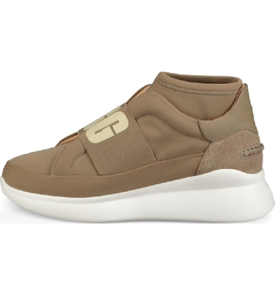 Shop Ugg Neutra Sock Sneaker In Antelope