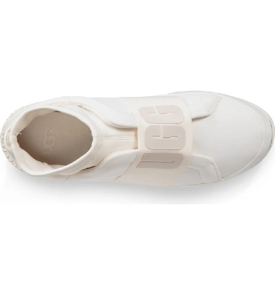 Shop Ugg Neutra Sock Sneaker In Coconut Milk