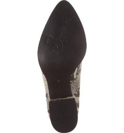 Shop Seychelles Chaparral Bootie In Black/ White Leather