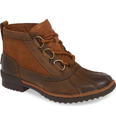 Shop Ugg Heather Waterproof Lace-up Bootie In Chestnut Leather