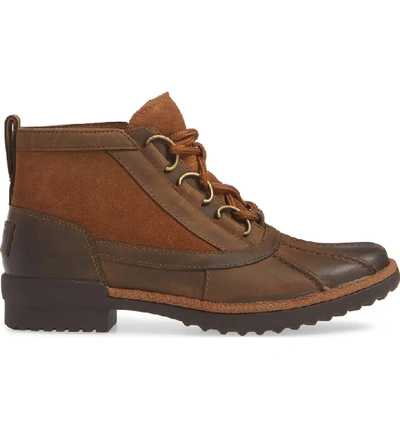 Shop Ugg Heather Waterproof Lace-up Bootie In Chestnut Leather