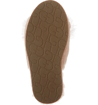 Shop Ugg Mirabelle Genuine Shearling Slipper In Amber Light