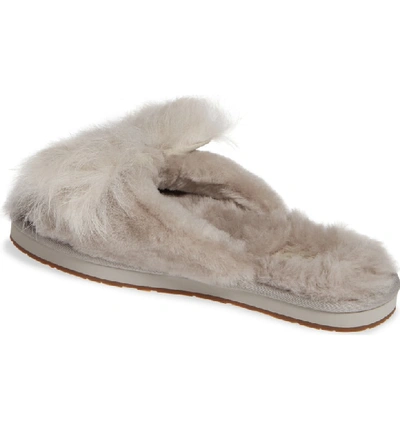 Shop Ugg Mirabelle Genuine Shearling Slipper In Willow