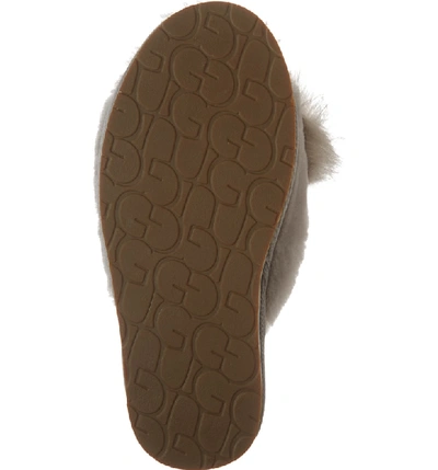 Shop Ugg Mirabelle Genuine Shearling Slipper In Willow
