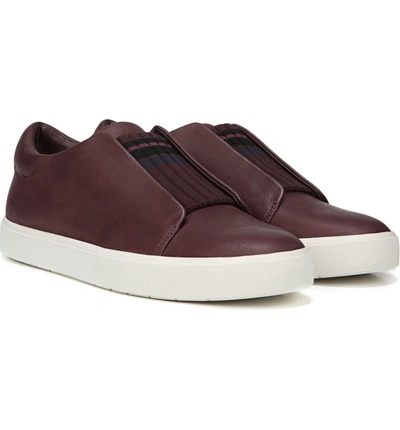 Shop Vince Cantara Slip-on Sneaker In Bordo/ Rose