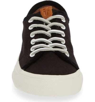 Shop Frye Gia Low Lace-up Sneaker In Black Canvas