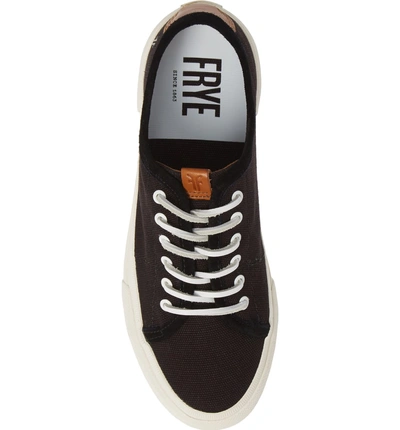 Shop Frye Gia Low Lace-up Sneaker In Black Canvas