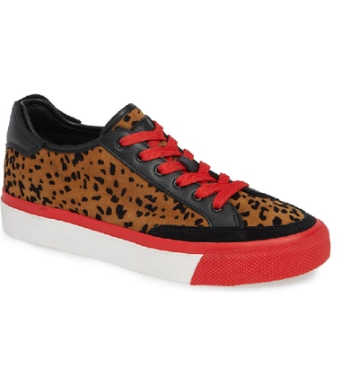 Shop Rag & Bone Army Low Top Sneaker In Tan Cheetah Suede