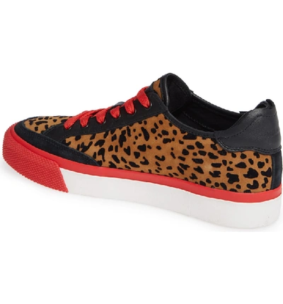 Shop Rag & Bone Army Low Top Sneaker In Tan Cheetah Suede