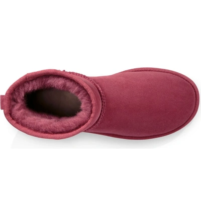 Shop Ugg 'classic Mini Ii' Genuine Shearling Lined Boot In Garnet Suede