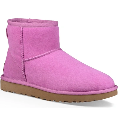 Shop Ugg 'classic Mini Ii' Genuine Shearling Lined Boot In Bodacious Suede