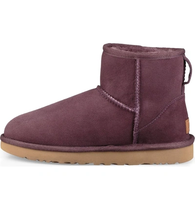 Shop Ugg 'classic Mini Ii' Genuine Shearling Lined Boot In Port Suede