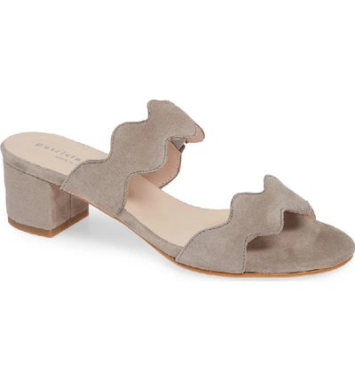 Shop Patricia Green Palm Beach Slide Sandal In Grey Suede