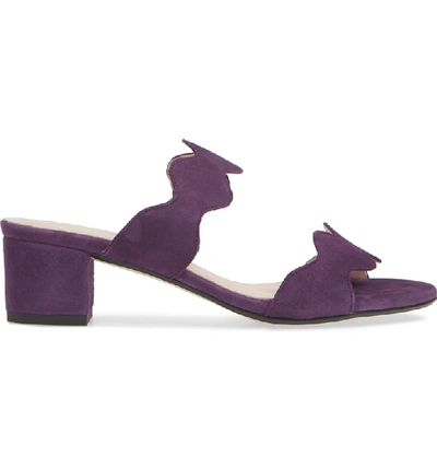 Shop Patricia Green Palm Beach Slide Sandal In Eggplant Suede