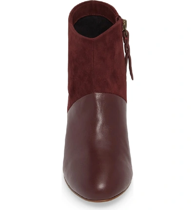 Splendid nonn best sale bootie