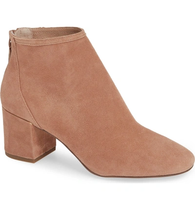 Shop Cecelia New York Nolton Bootie In Lenten Rose Suede