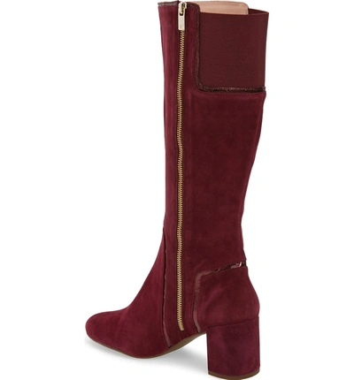 Shop Taryn Rose Charlee Knee High Boot In Fig Suede