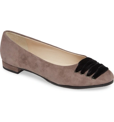 Shop Amalfi By Rangoni Gallena Laced Skimmer In Dark Taupe Suede