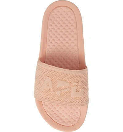 Shop Apl Athletic Propulsion Labs Big Logo Techloom Slide Sandal In Blush