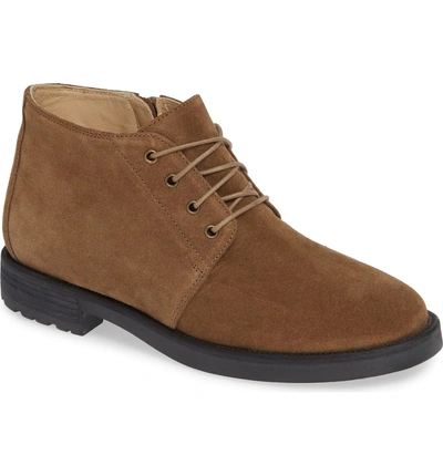 Shop Amalfi By Rangoni Baltimore Chukka Boot In Taupe Suede