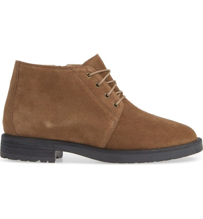 Shop Amalfi By Rangoni Baltimore Chukka Boot In Taupe Suede