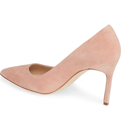 Shop Manolo Blahnik Bb Pointy Toe Pump In Canyon Blush Suede