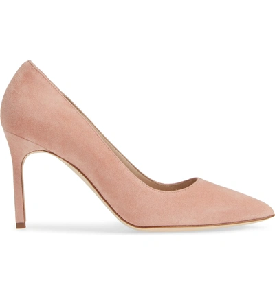 Shop Manolo Blahnik Bb Pointy Toe Pump In Canyon Blush Suede