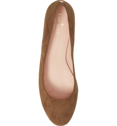 Kate Spade Beverly Pump In Taupe Suede | ModeSens