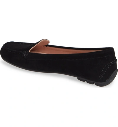 Taryn rose shop karen loafer
