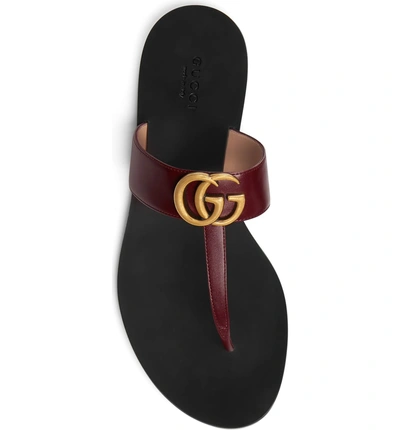 Shop Gucci Gg T-strap Sandal In Vintage Bordeaux