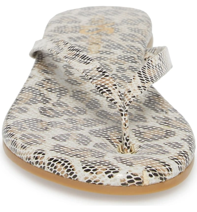 Shop Yosi Samra Rivington Flip Flop In White Snake Print