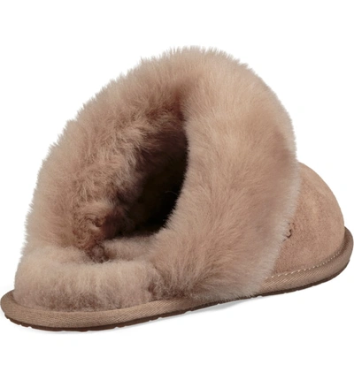 Shop Ugg Scuffette Ii Water Resistant Slipper In Fawn