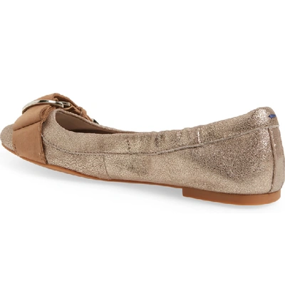 Shop T Tahari Andes Flat In Taupe Suede