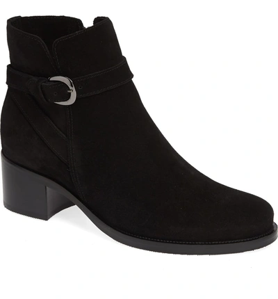 Shop La Canadienne Pru Waterproof Bootie In Black Suede