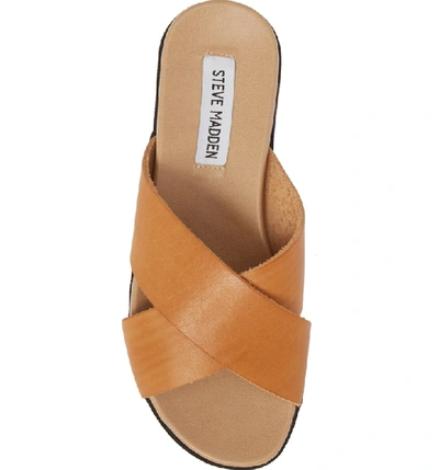 Steve madden 2025 asher cognac