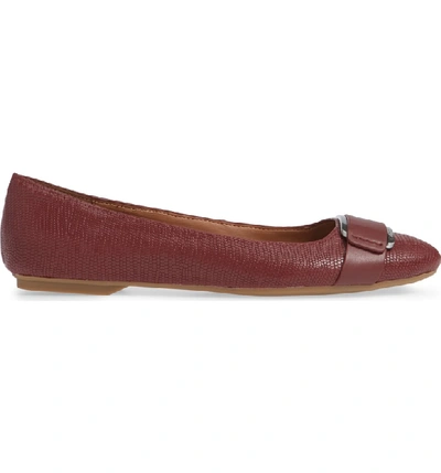 Shop Calvin Klein Oneta Ballet Flat In Red Rock Leather