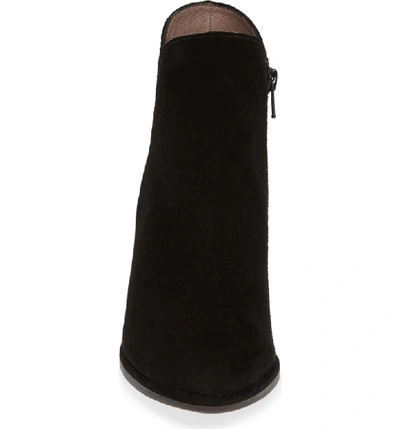 Shop Wonders Chelsea Boot In Black Suede