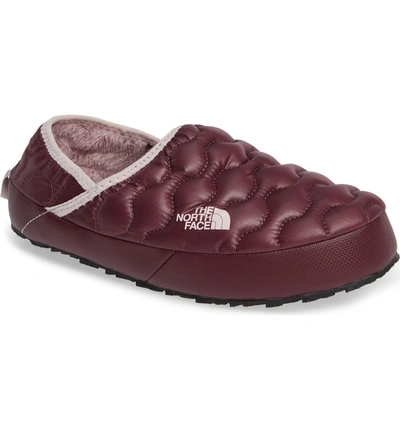 Shop The North Face Thermoball(tm) Water Resistant Traction Mule In Shiny Fig/ Burnished Lilac