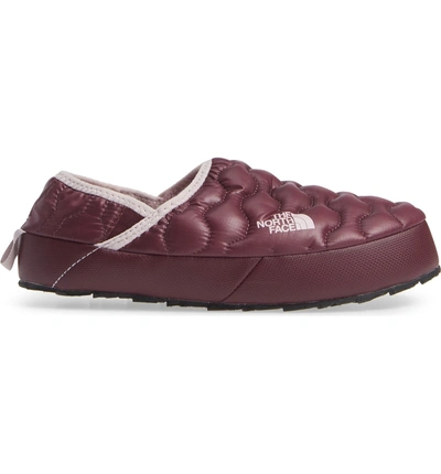 Shop The North Face Thermoball(tm) Water Resistant Traction Mule In Shiny Fig/ Burnished Lilac