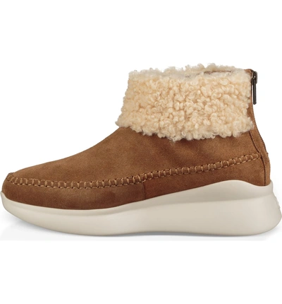 Ugg Montrose Short Zip Wedge Boot Sneakers In Chestnut | ModeSens