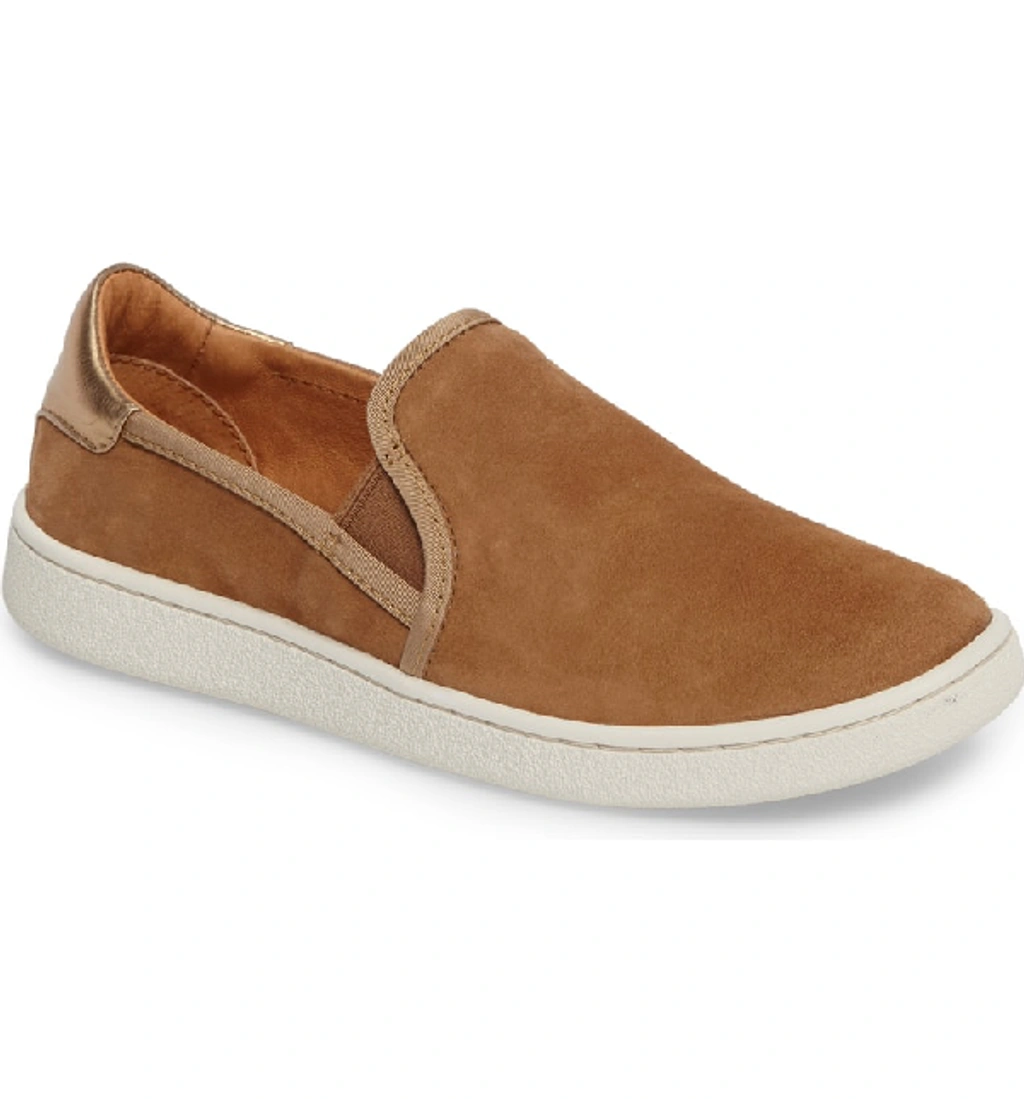 Ugg Women s Cas Leather Slip On Sneakers In Chestnut Suede ModeSens