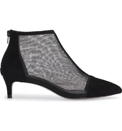 Charles by charles david kiss deals kitten heel bootie