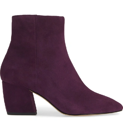 Shop Botkier Sasha Bootie In Winter Purple Suede