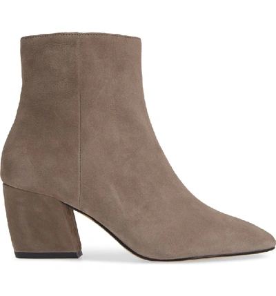 Shop Botkier Sasha Bootie In Winter Grey Suede