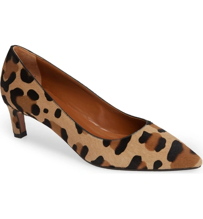 Shop Aquatalia Marianna Genuine Calf Hair Kitten Heel Pump In Leopard