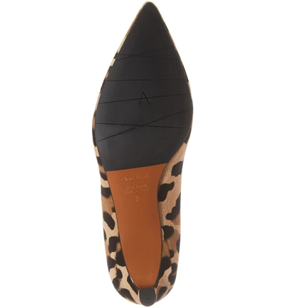 Shop Aquatalia Marianna Genuine Calf Hair Kitten Heel Pump In Leopard