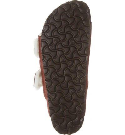 Shop Birkenstock 'arizona' Genuine Shearling Lined Sandal In Port Suede