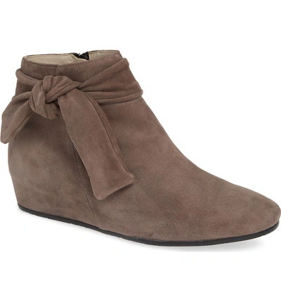 Shop Amalfi By Rangoni Vicenza Bootie In Dark Taupe Suede
